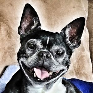 Meet your Posher, Dan